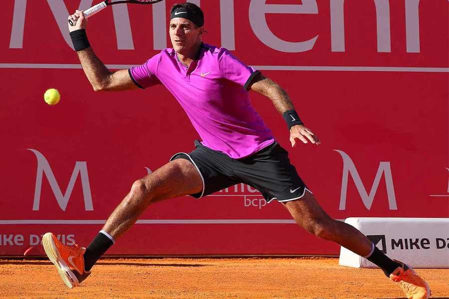 Juan Martin del Potro